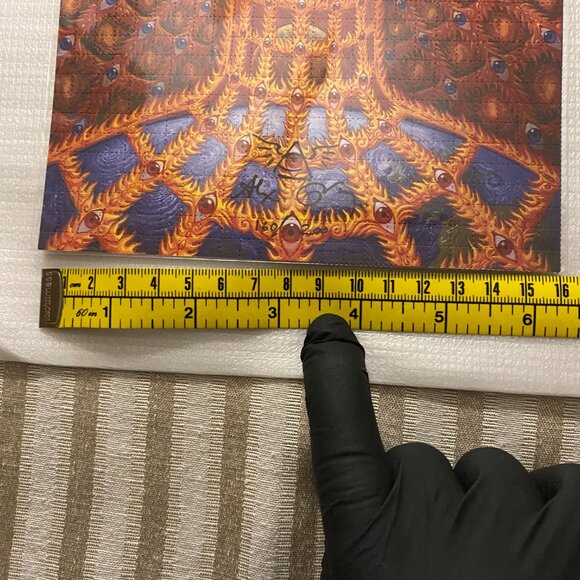 ALEX GREY OVERSOUL PRINT #160/200 SIGNED (taking offers) - Picture 5 of 13